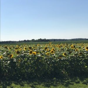 Meet your Posher, Corinne